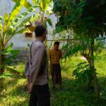 Ketahanan Pangan, Polisi Motivasi Warga Manfaatkan Pekarangan Rumah di Desa Perampuan