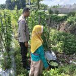Sinergi Polri dan Petani, Bhabinkamtibmas Dorong Optimalisasi Lahan
