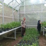 Ketahanan Pangan Lokal: Bhabinkamtibmas Dorong Warga Tanam Cabai