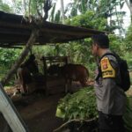 Ketahanan Pangan Dimulai dari Rumah: Bhabinkamtibmas Beri Edukasi Warga