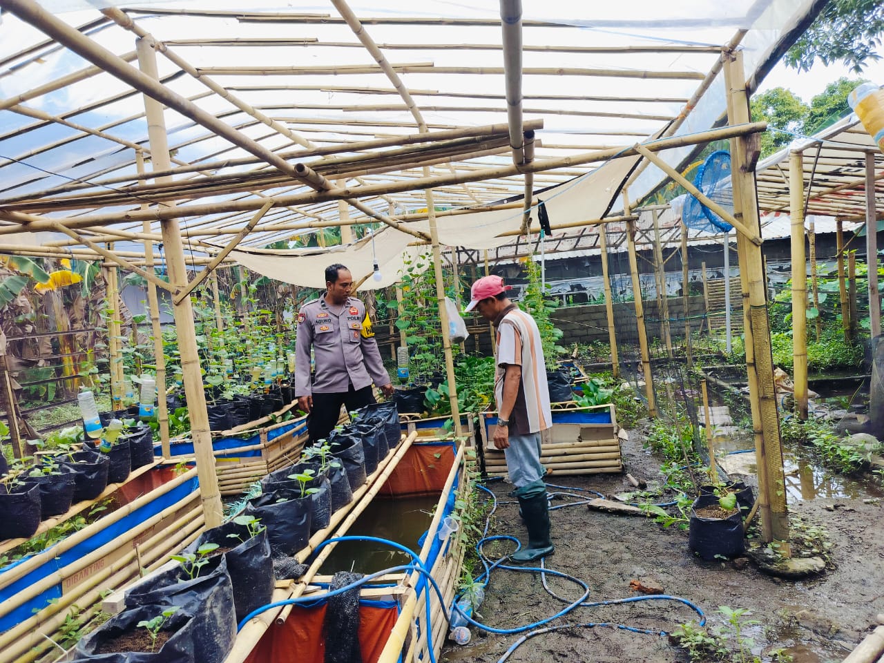 Polri Terlibat Aktif dalam Ketahanan Pangan Nasional melalui Kegiatan Sambang di Lombok Barat