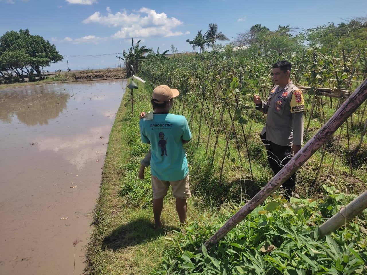 Bhabinkamtibmas Kuranji Dalang Gelar Sambang untuk Edukasi Ketahanan Pangan di Dusun Mapak Barat