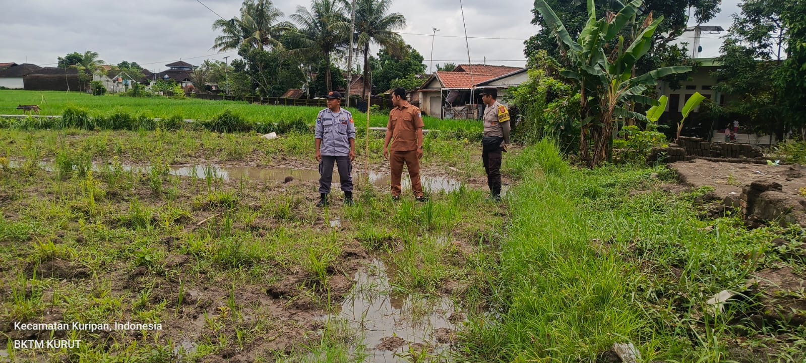 Sinergi Bhabinkamtibmas dan Warga Bangun Ketahanan Pangan di Kuripan Utara