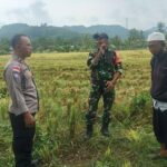 Kedekatan Polisi dan Petani, Panen Jadi Nyaman