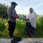 Ketahanan Pangan Desa: Polsek Labuapi Turun Tangan Salurkan Bibit Jagung Unggul