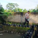 Polisi dan Pemuda Bersatu Jaga Lingkungan dan Dorong Ketahanan Pangan di Kuripan