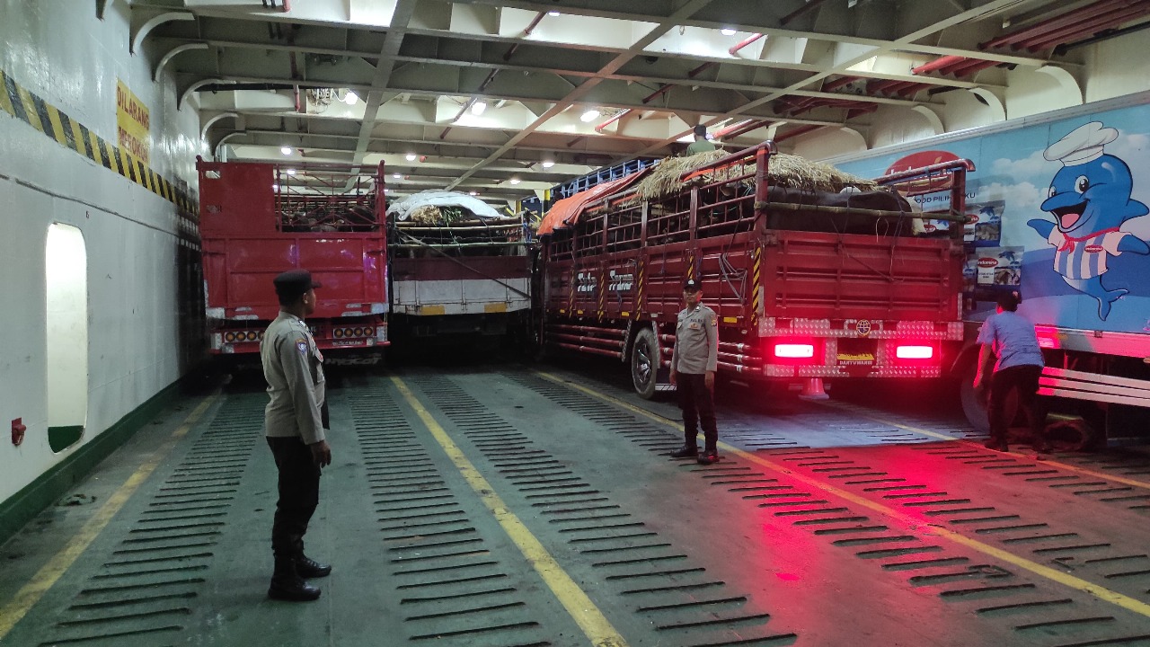 Pengamanan Ketat Pemuatan Truk Ternak Sapi di Pelabuhan Lembar