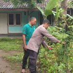 Dukung Ketahanan Pangan, Warga Desa Kuranji Dalang Tanam Sayuran di Pekarangan