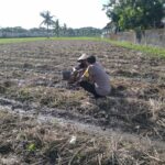 Bhabinkamtibmas Desa Kuripan Beri Motivasi Pemanfaatan Pekarangan untuk Ketahanan Pangan