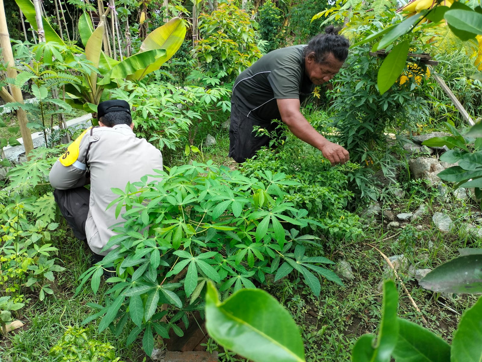 Polri dan Petani Bersatu Wujudkan Program Pangan Nasional di Lombok Barat