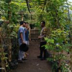 Lombok Barat, NTB – Kepolisian Sektor Kuripan, melalui personel Bhabinkamtibmasnya, terus menunjukkan komitmen dalam mendekatkan diri dengan masyarakat sekaligus mendukung program-program strategis pemerintah hingga ke tingkat akar rumput. Salah satu wujud nyata dari upaya ini terlihat pada Rabu (14/05/2025), ketika Bhabinkamtibmas Desa Kuripan Utara melaksanakan kunjungan dan silaturahmi di Dusun Pesongoran. Fokus utama kunjungan kali ini adalah menyambangi Komunitas Pemuda Peduli Lingkungan yang berlokasi di dusun tersebut. Pertemuan yang berlangsung santai namun penuh makna ini dimulai sekitar pukul 09.30 WITA dan dihadiri oleh sejumlah perwakilan pemuda anggota komunitas. Meningkatkan Sinergi dan Kesadaran Pangan Lokal Kegiatan yang diinisiasi oleh Bhabinkamtibmas Desa Kuripan Utara ini bertujuan ganda: pertama, mempererat jalinan silaturahmi dan komunikasi yang sudah terjalin baik antara pihak kepolisian dengan warga binaan, khususnya komunitas pemuda. Kedua, dan tak kalah pentingnya, adalah mensosialisasikan serta mendorong partisipasi aktif komunitas dalam program ketahanan pangan nasional, dengan fokus pada skala rumah tangga dan komunitas. Di tengah tantangan global terkait ketersediaan pangan, inisiatif di tingkat lokal seperti yang digaungkan oleh Bhabinkamtibmas ini menjadi sangat relevan. Konsep ketahanan pangan yang disampaikan merujuk pada kemandirian dalam memenuhi kebutuhan pangan keluarga atau komunitas, salah satunya melalui pemanfaatan lahan pekarangan kosong yang kerap kali belum termanfaatkan secara optimal. Pentingnya Peran Pemuda dan Pemanfaatan Pekarangan Memilih Komunitas Pemuda Peduli Lingkungan sebagai sasaran sosialisasi bukanlah tanpa alasan. Kaum muda memiliki energi, kreativitas, dan potensi besar sebagai agen perubahan di masyarakat. Keterlibatan mereka dalam program ketahanan pangan diharapkan dapat menjadi penggerak dan contoh bagi warga lainnya, sekaligus menumbuhkan kesadaran akan pentingnya kemandirian pangan dari usia dini. Dalam dialog yang interaktif, Bhabinkamtibmas menjelaskan betapa mudahnya memulai program ketahanan pangan mandiri. Dengan menanam sayuran atau tanaman pangan lainnya di pekarangan kosong, warga dapat menghasilkan sumber pangan yang sehat, segar, dan tentunya menghemat biaya belanja. Selain itu, kegiatan berkebun juga bisa menjadi hobi positif yang produktif bagi para pemuda. Berbagai jenis sayuran yang cocok ditanam di pekarangan, seperti cabai, tomat, terong, bayam, atau kangkung, dibahas sebagai contoh konkret. Dukungan Penuh dari Pihak Kepolisian Sektor Kuripan Menanggapi kegiatan positif ini, Kapolres Lombok Barat, Polda NTB, AKBP Yasmara Harahap, S.I.K., melalui Kapolsek Kuripan, Polres Lombok Barat, Ipda I Wayan Eka Ariyana, S.H., menyampaikan apresiasinya. Menekankan bahwa kegiatan seperti ini merupakan bagian integral dari tugas kepolisian, khususnya Bhabinkamtibmas, dalam melakukan pembinaan masyarakat. "Kegiatan ini sangat positif. Kami dari Kepolisian, khususnya Bhabinkamtibmas, memiliki peran strategis dalam membina masyarakat hingga ke tingkat dusun. Program ketahanan pangan ini bukan hanya soal menanam, tapi juga membangun kemandirian masyarakat," ujar Ipda I Wayan Eka Ariyana. Kapolsek menambahkan, bahwa mengapresiasi partisipasi aktif komunitas pemuda di Kuripan Utara ini. “Mereka adalah aset penting dalam mewujudkan lingkungan yang lestari sekaligus mendukung ketahanan pangan lokal. Sinergi antara Polri dan masyarakat, terutama generasi muda, sangat krusial untuk menjaga stabilitas dan kesejahteraan,” ujarnya.