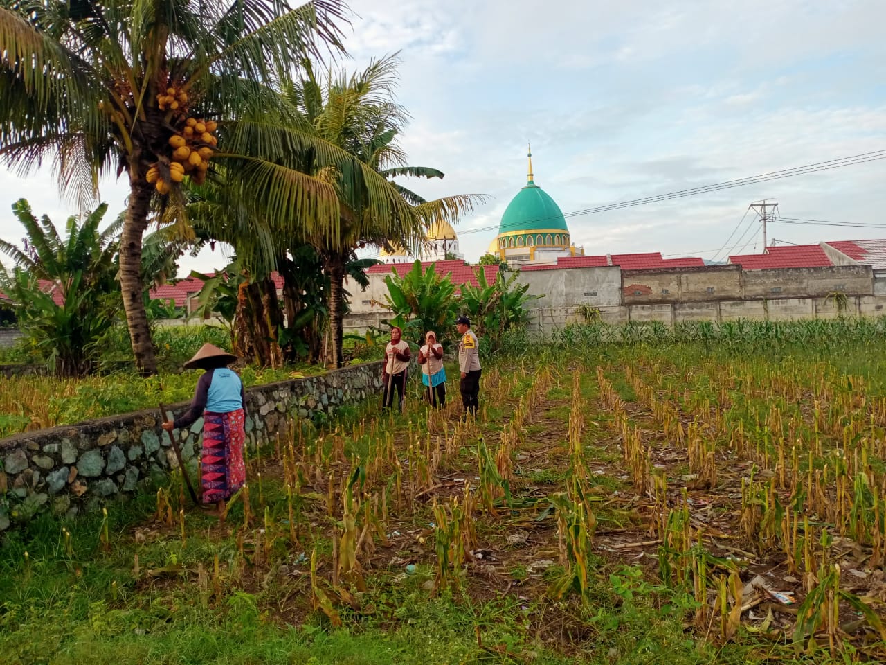 Sinergi Polri dan Warga Kembangkan Ketahanan Pangan Desa