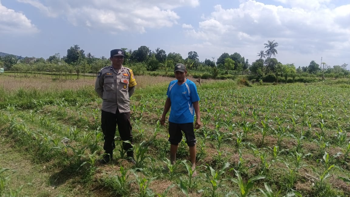 Sinergi Polri dan Petani: Polsek Gerung Galakkan Pemanfaatan Lahan Pekarangan untuk Pangan Bergizi