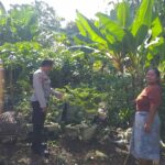 Bhabinkamtibmas Desa Jagaraga Sosialisasikan Program Ketahanan Pangan