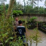 Kunjungan Bhabinkamtibmas: Edukasi Pemuda tentang Ketahanan Pangan Pekarangan