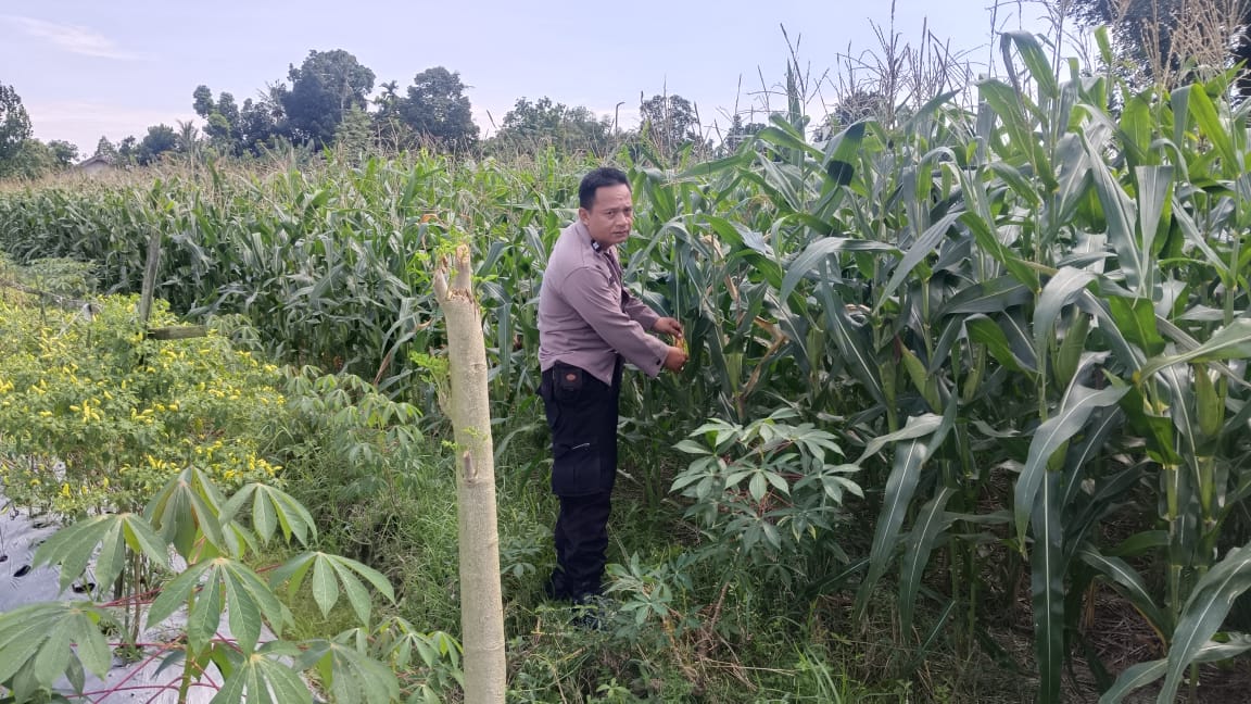 Silaturahmi Kamtibmas dan Pangan: Peran Polisi di Desa