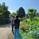 Bhabinkamtibmas Dampingi Petani Jagung di Mareje Timur, Lembar