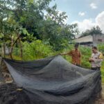 Bhabinkamtibmas Gelogor Dorong Warga Tanam Pangan di Halaman Rumah