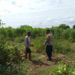 Bhabinkamtibmas Sekotong Barat Dukung Ketahanan Pangan Warga