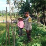 Bhabinkamtibmas Taman Ayu Galakkan Ketahanan Pangan Keluarga