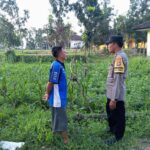 Ketahanan Pangan Desa Kuripan Didukung Langsung Aparat Kepolisian