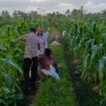 Motivasi Petani Kuripan, Polri Dorong Ketahanan Pangan dari Tingkat Desa