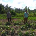 Polri Dukung Ketahanan Pangan Nasional Bhabinkamtibmas Jagaraga Ajak Petani Manfaatkan Lahan Produktif