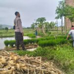 Polri Pantau Langsung Tanam Padi di Desa Lelede, Lombok Barat