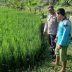 Polri Perkuat Swasembada Pangan di Desa Montong Are