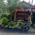 Polsek Kuripan Gandeng Warga Bangun Kemandirian Pangan Keluarga