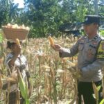 Bangun Pagi: Rahasia Sukses dan Bahagia Terungkap?