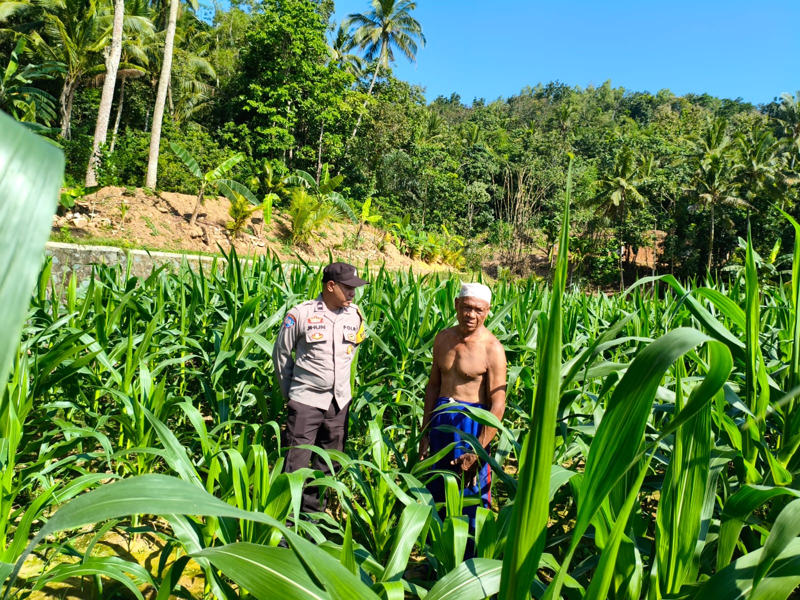 Sinergi Polri-Petani, Pengecekan Lahan Jagung di Mareje Timur