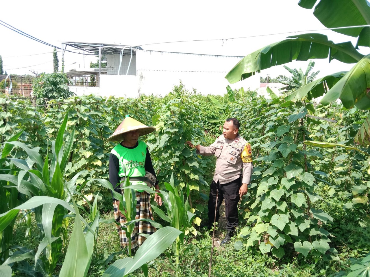 Dukung Ketahanan Pangan, Polisi Ajak Petani Manfaatkan Lahan Kosong