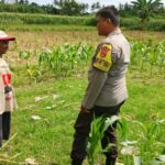 Polres Lombok Barat Dorong Ketahanan Pangan Desa Jembatan Gantung
