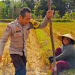 Kunjungan Bhabinkamtibmas Kuripan Utara, Ajak Petani Dukung Ketahanan Pangan Nasional
