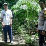 Batulayar Tunjukkan Peran Aktif Warga dalam Ketahanan Pangan Lokal