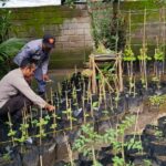 Polri Dorong Ketahanan Pangan dari Pekarangan Warga Kuripan Utara