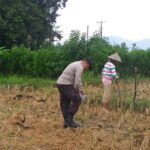 Sinergi Polri dan Warga Jagaraga Kembangkan Ketahanan Pangan Keluarga