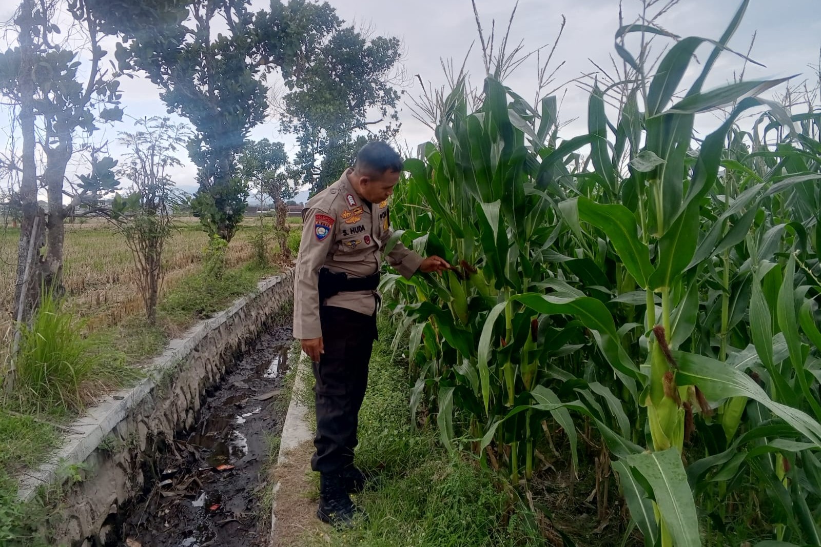 Bhabinkamtibmas Terong Tawah Dorong Pemanfaatan Pekarangan untuk Ketahanan Pangan