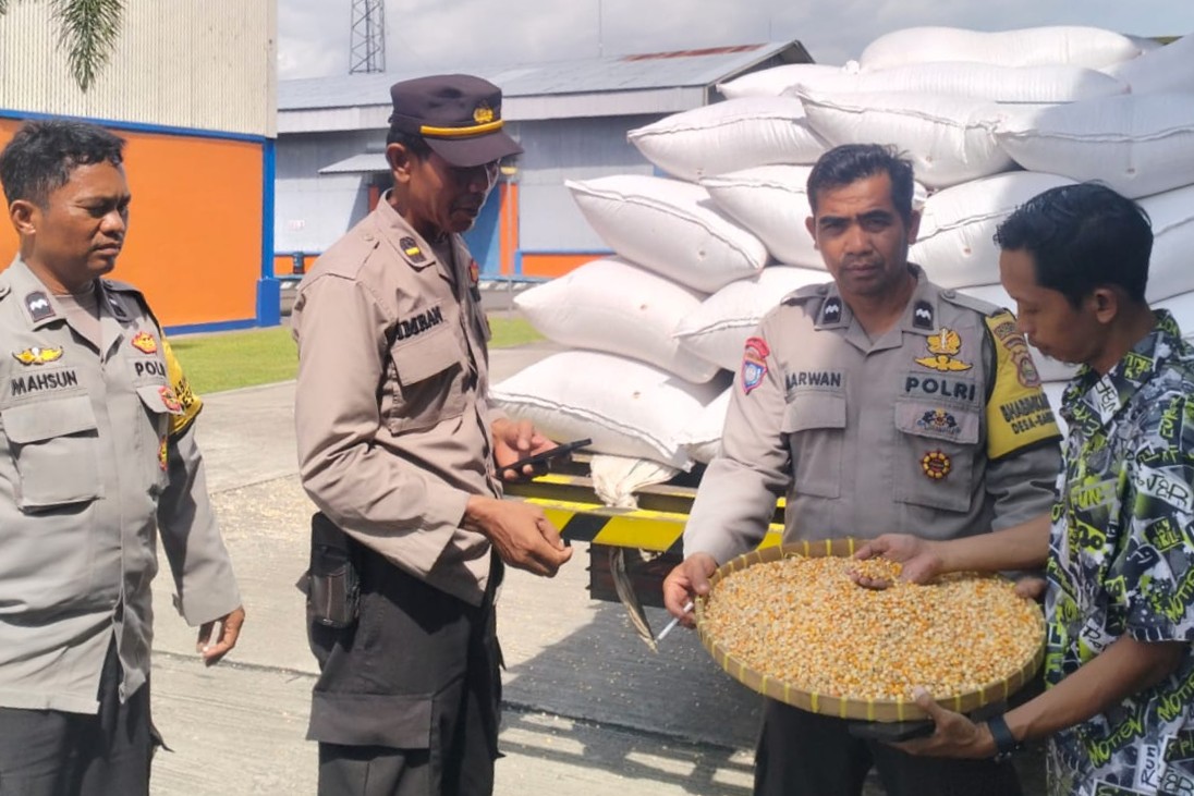 Jaga Ketahanan Pangan, Polri Kawal Penyerapan Jagung Petani di NTB
