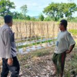 Dukung Program Pangan, Polres Lombok Barat Dorong Warga Bertani Mandiri
