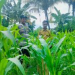 Strategi Polsek Labuapi Optimalkan Lahan Tidur di Bajur